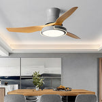 Remote Control Variable Frequency Dimming Integrated Ceiling Fan Light Supports Forward and Reverse - Lamp Outdoor