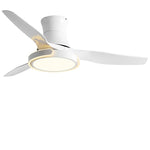 Remote Control Variable Frequency Dimming Integrated Ceiling Fan Light Supports Forward and Reverse - Lamp Outdoor