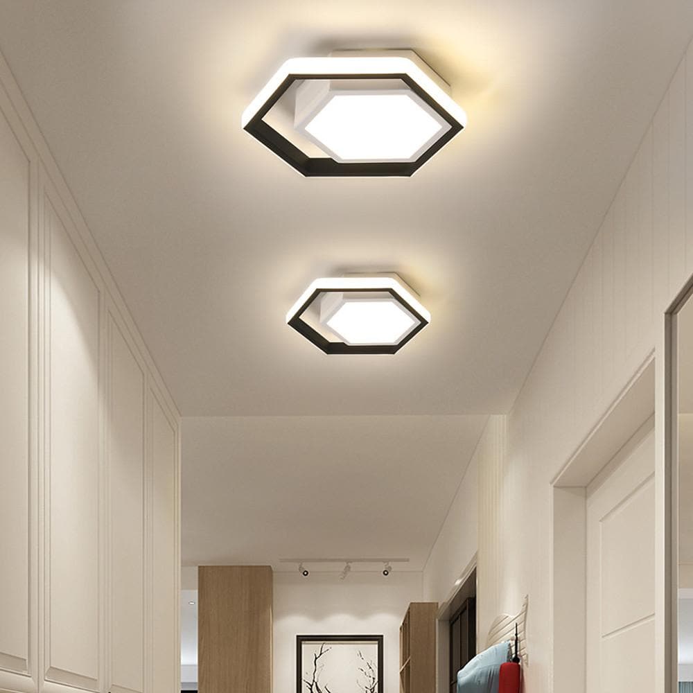 Lois Shaped LED Modern Metal Flush Mount Ceiling Lights - Lamp Outdoor