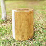 Realistic Tree Stump LED Outdoor Garden Lights - Cylindrical, Textured Design