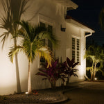 Stakes for landscape lights creating dramatic tree uplighting in residential landscape setting
