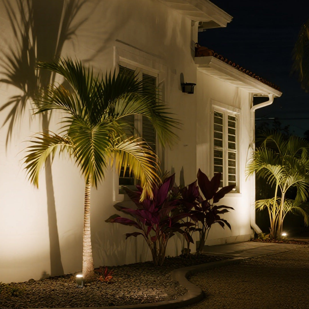 Stakes for landscape lights creating dramatic tree uplighting in residential landscape setting