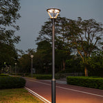 Tree-lined boulevard with ornamental street lighting creating elegant urban landscape design