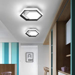 Lois Shaped LED Modern Metal Flush Mount Ceiling Lights - Lamp Outdoor