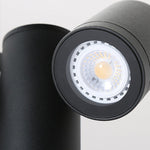 Flexi - Glow Dual - Head Rotatable Outdoor Lawn Light for Modern Landscapes