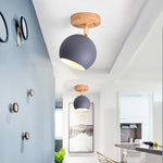 Semicircular Metal LED Rustic Adjustable Pendant Lights Ceiling Lights - Lamp Outdoor