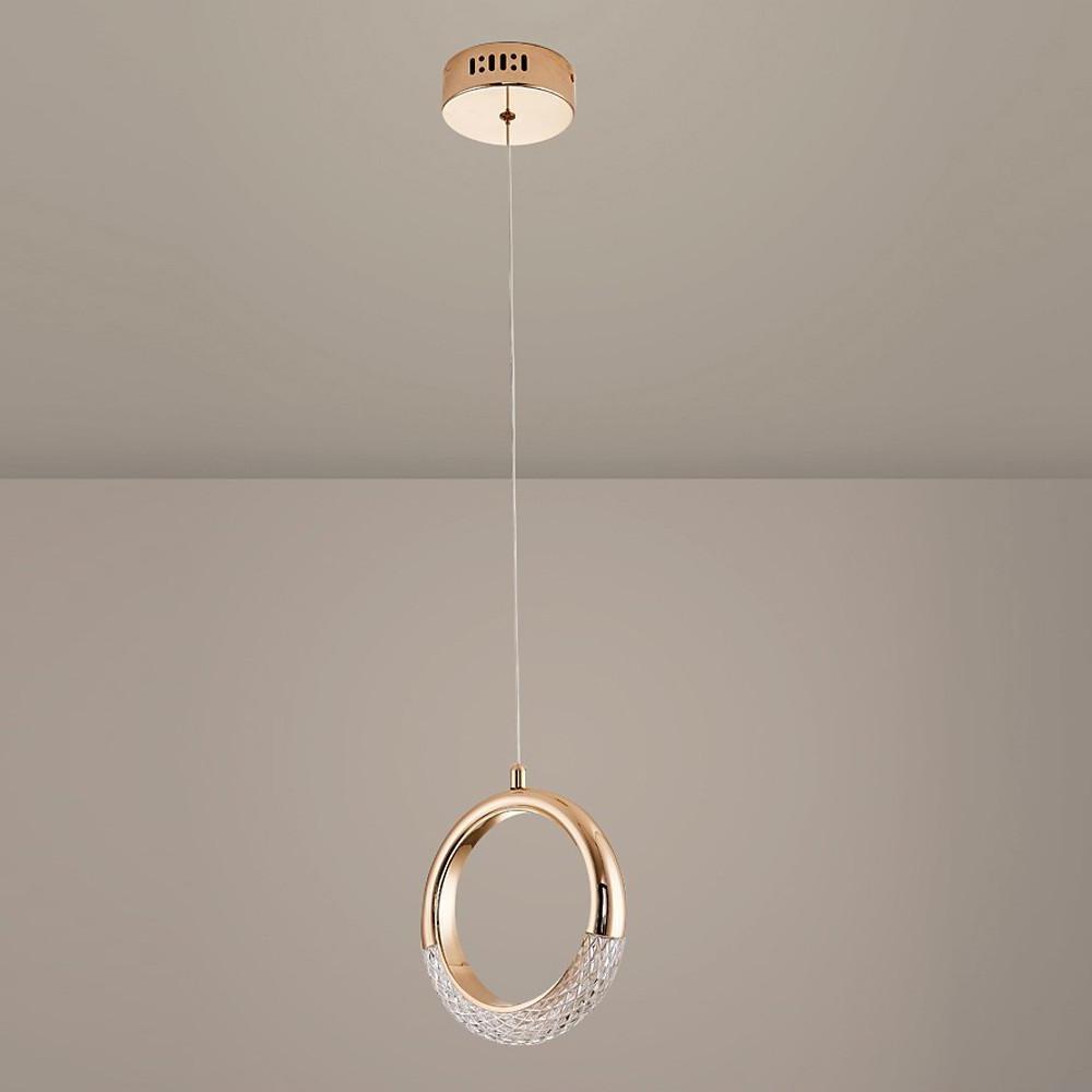 Ring Shaped LED Electroplated Metal Modern Pendant Light Hanging Lamp - Lamp Outdoor